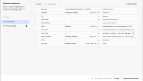 Verify the results of the the 'Classify and Tag Sensitive Data'-process